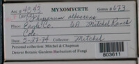 Image Associated With the Occurence